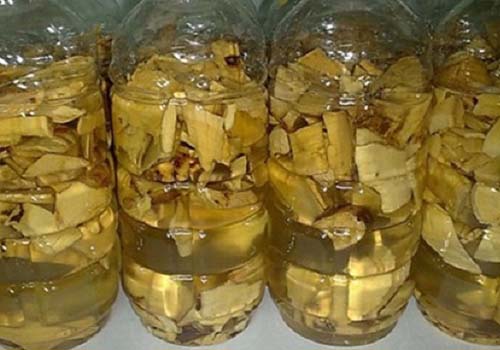 rượi cây lược vàng chữa bệnh gout