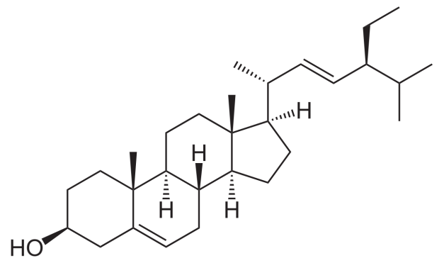 Hoạt chất Phytosterol có nhiều nhất trong cây Tơm Trơng